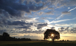 Amanecer en la dehesa